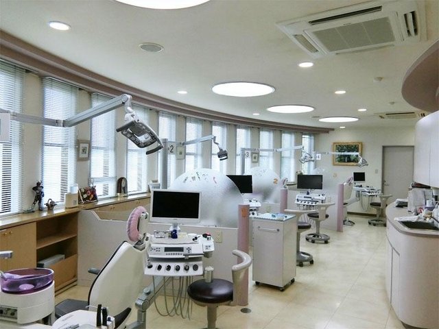 写真1