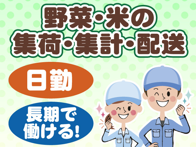野菜・米の集荷・集計・配送　日勤　長期で働ける！