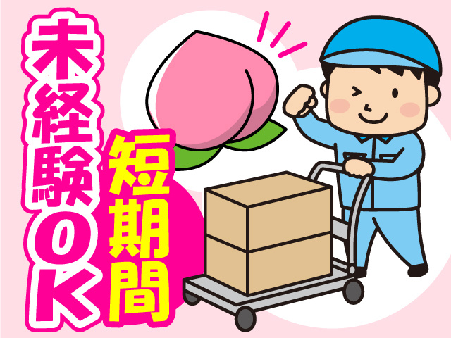 短期間　未経験OK
