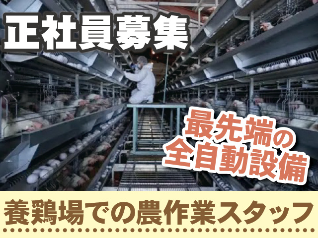 正社員