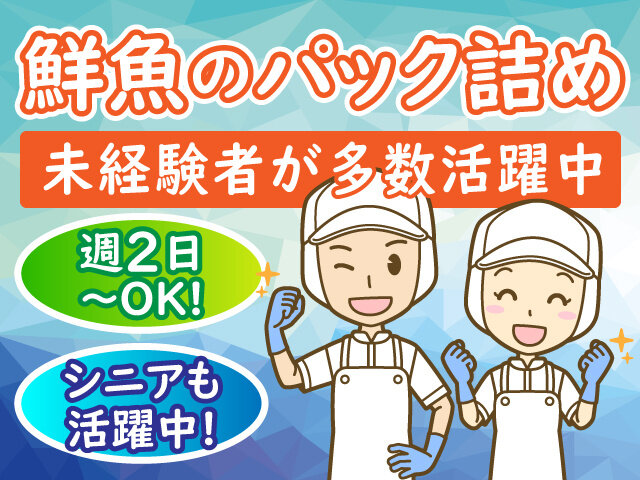 写真1